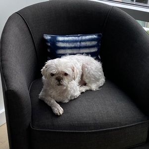 Meet your Posher, Susan